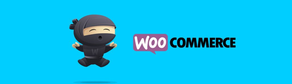 WooCommerce Plugins images of Web Fixer Pro